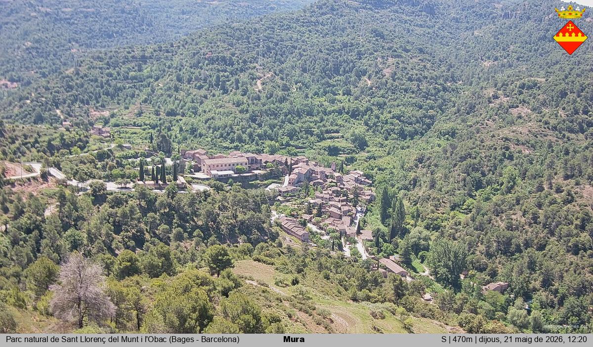Mura 