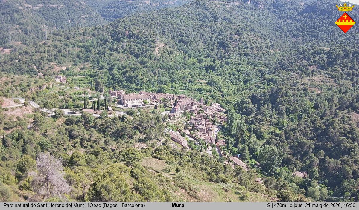 Mura 