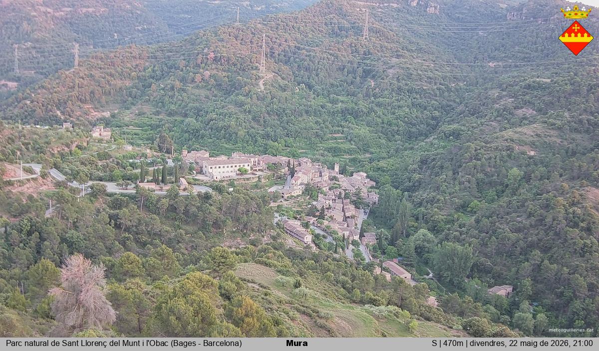 Mura 