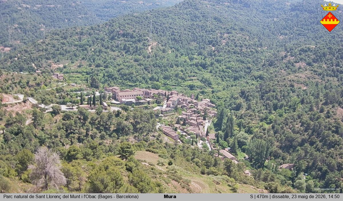 Mura 
