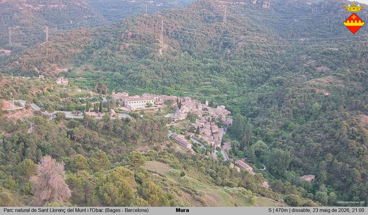 Mura 
