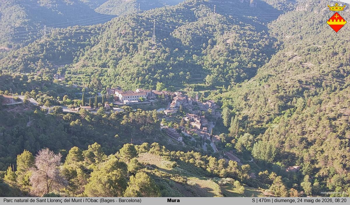 Mura 