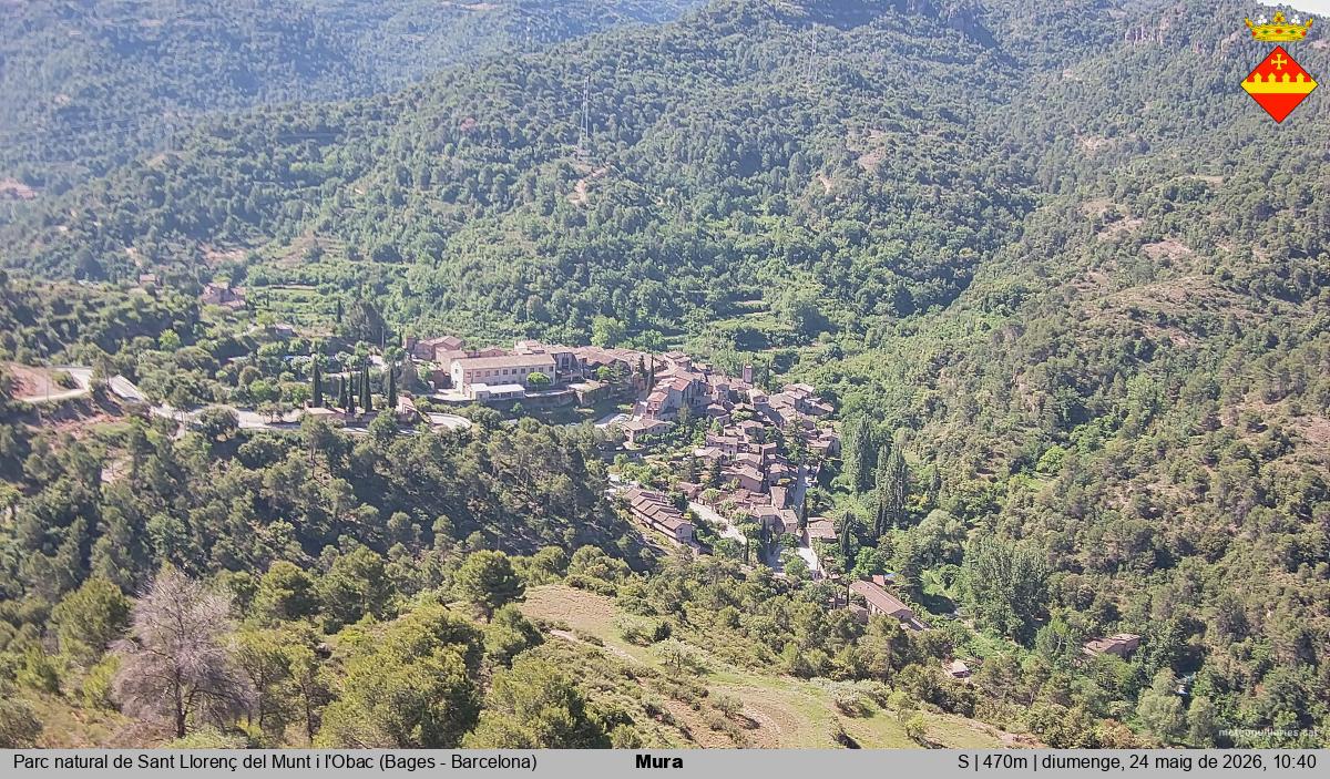 Mura 
