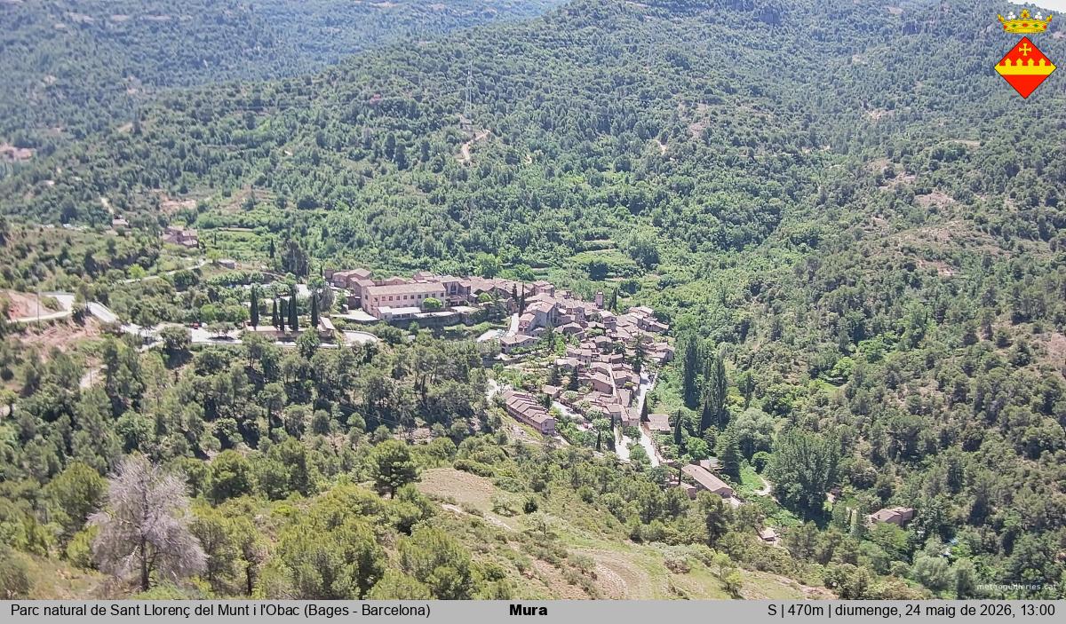 Mura 