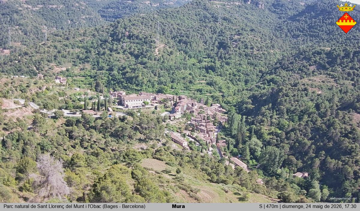 Mura 