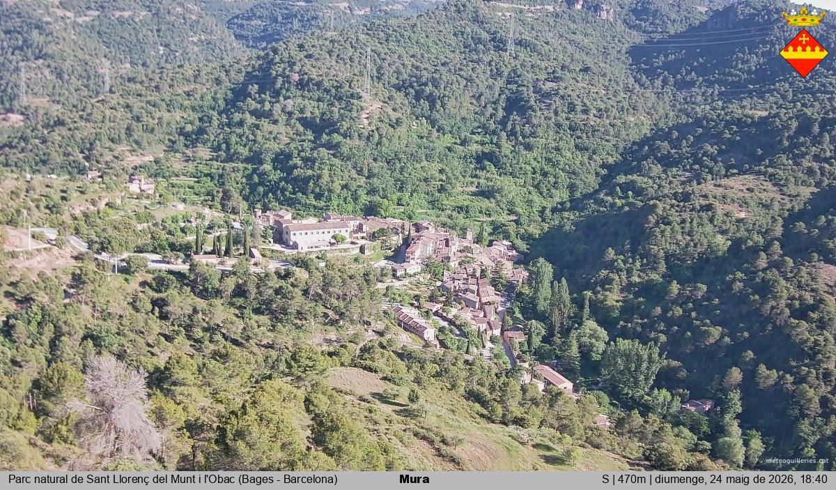 Mura 