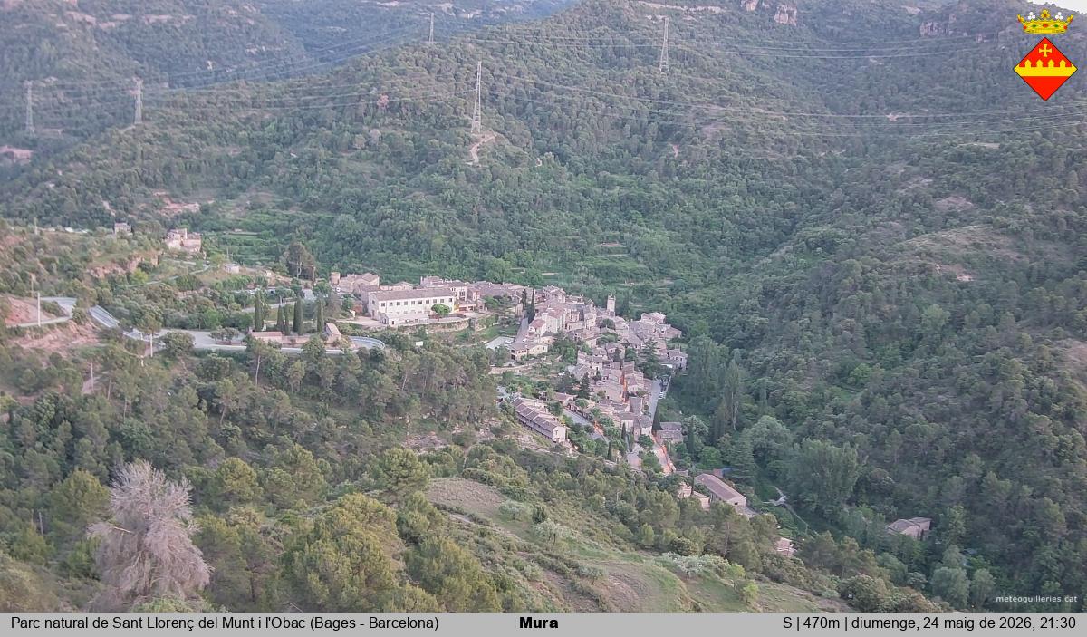 Mura 