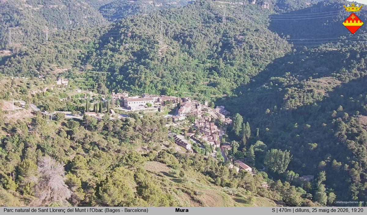 Mura 