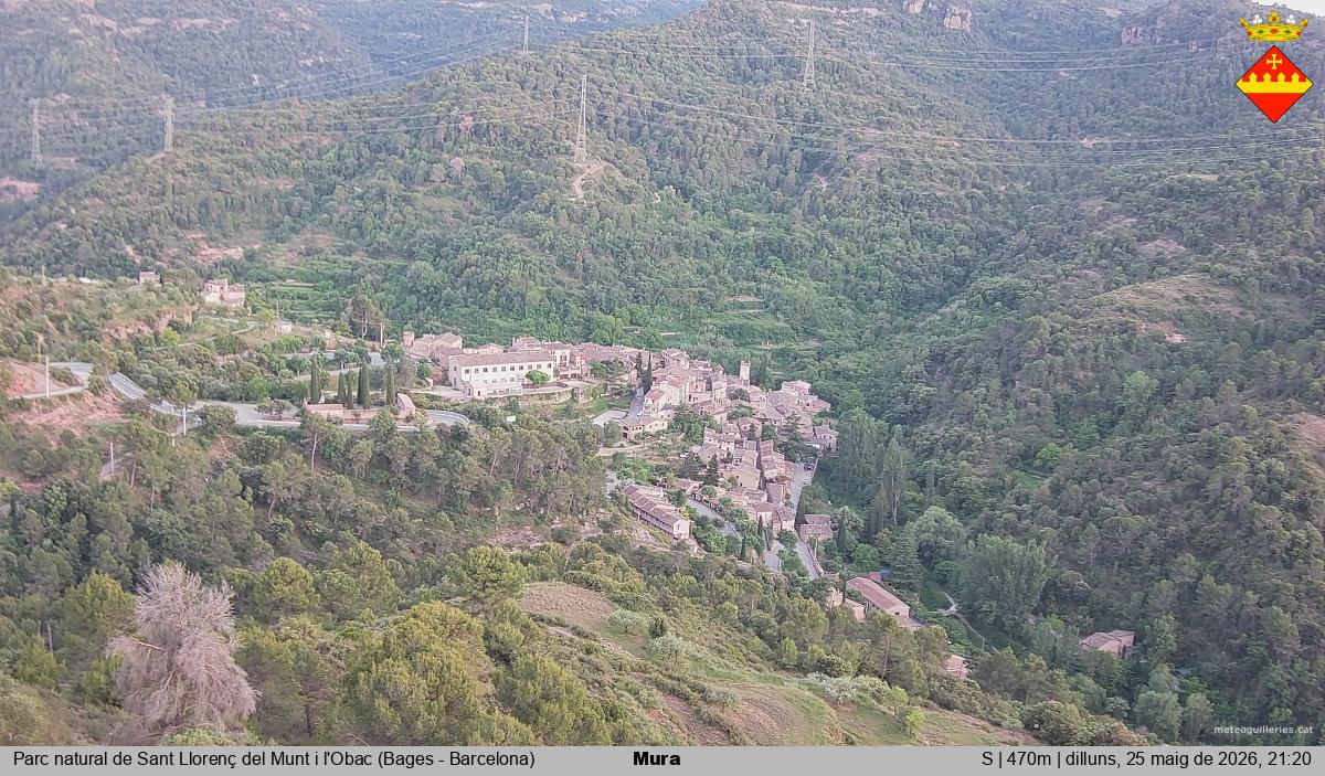 Mura 