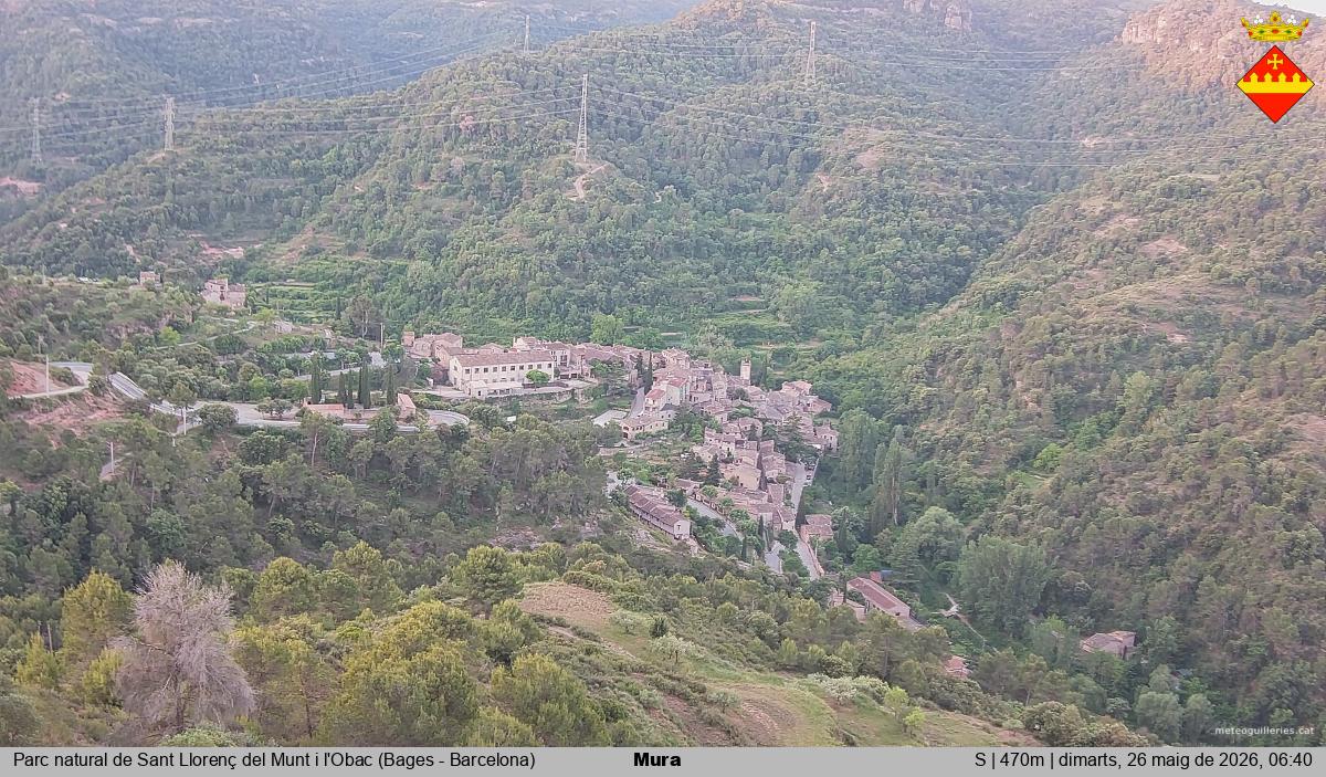 Mura 