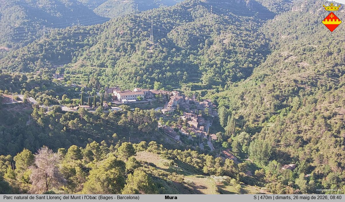 Mura 