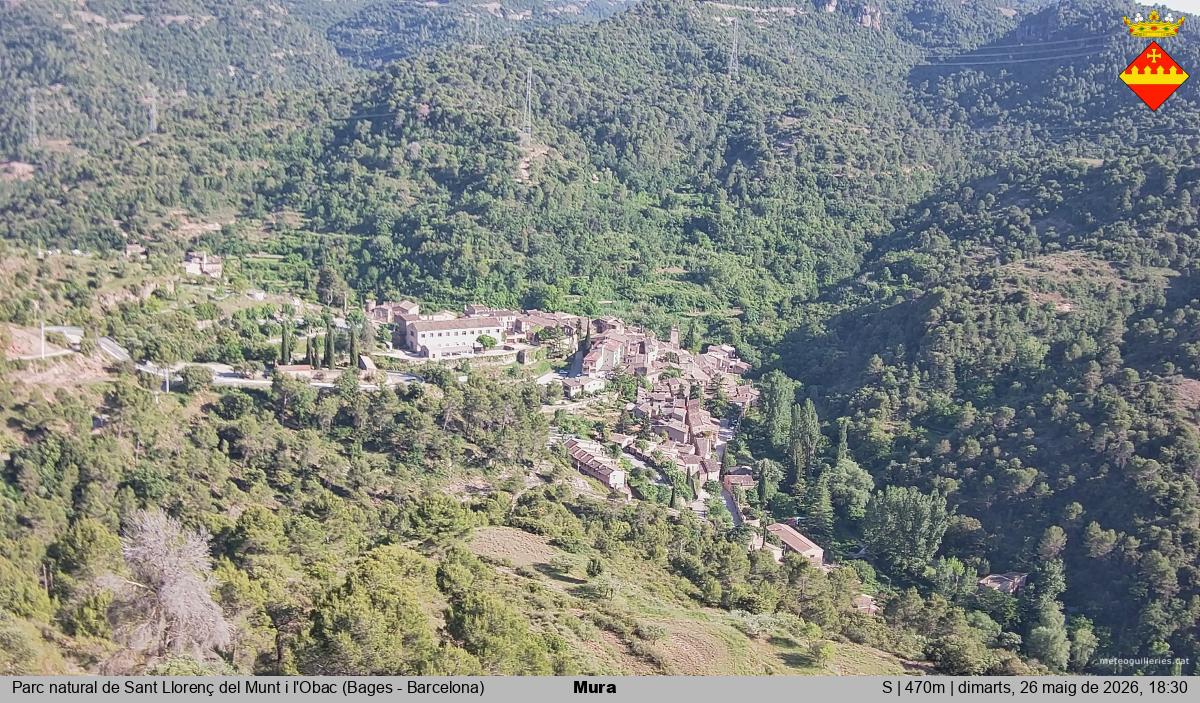 Mura 