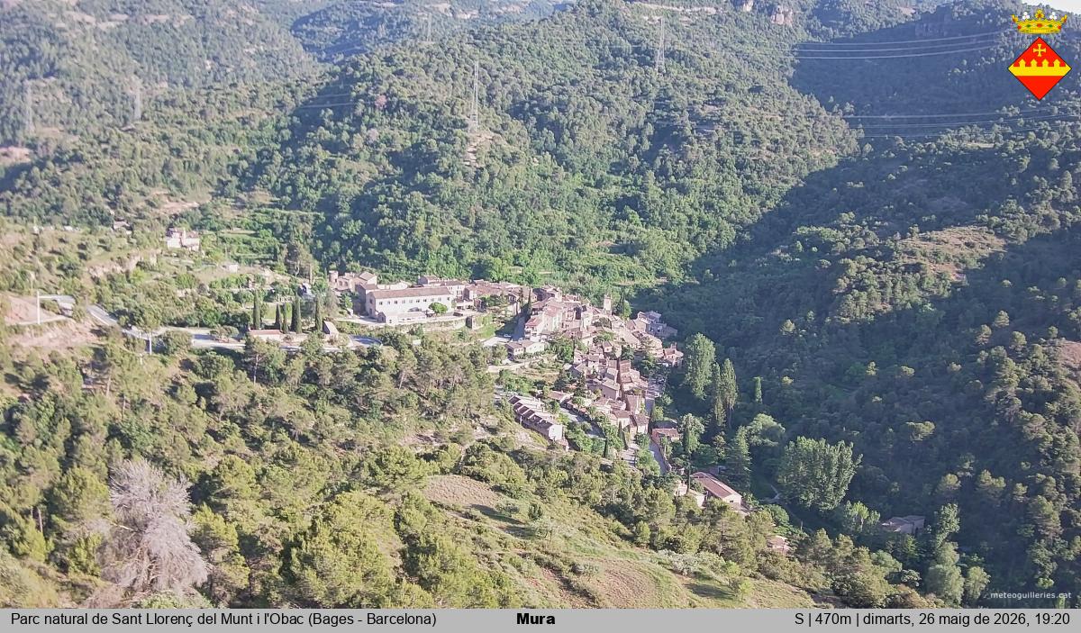 Mura 