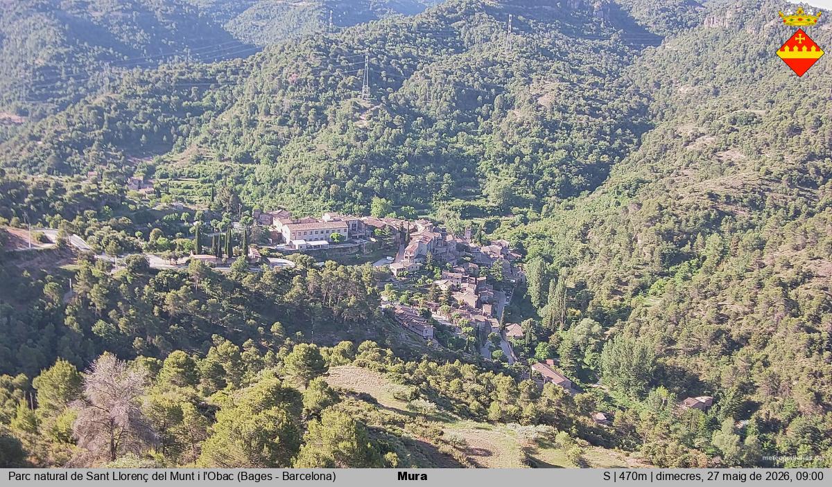 Mura 