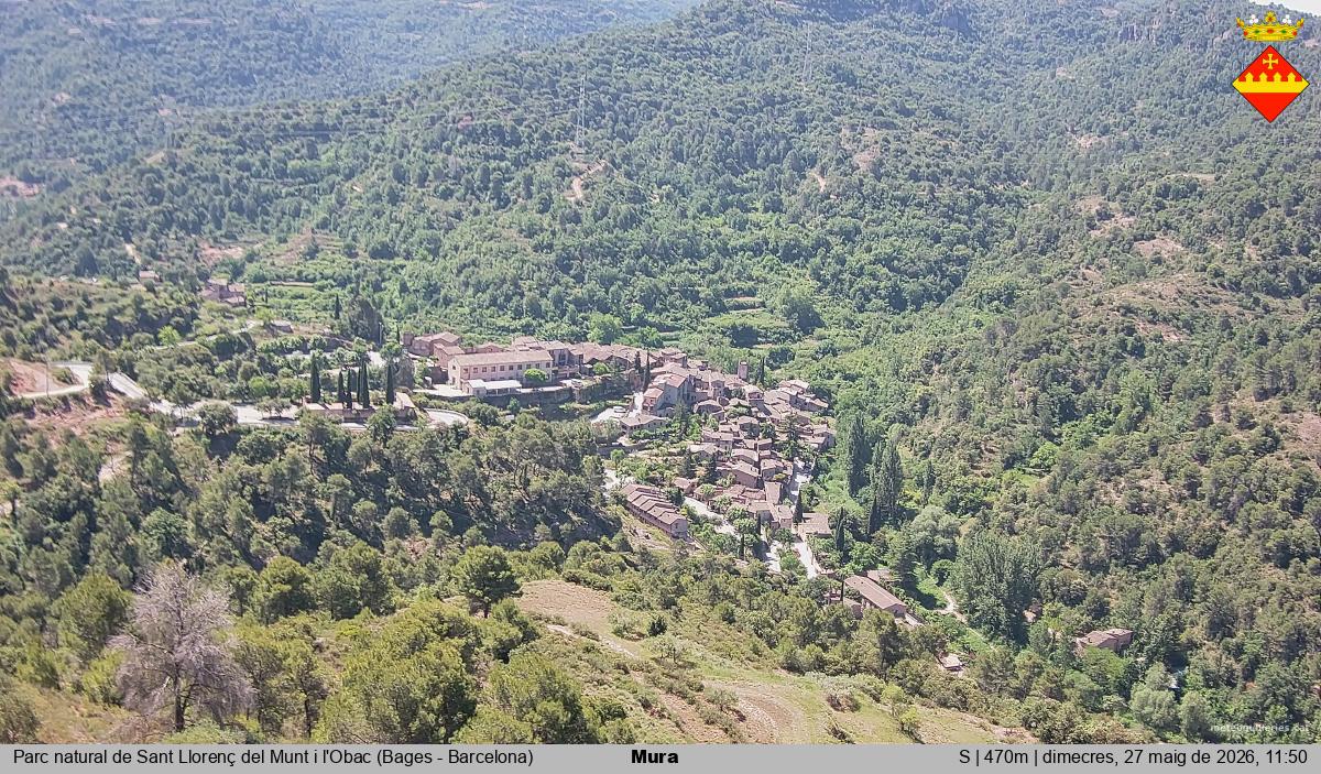 Mura 
