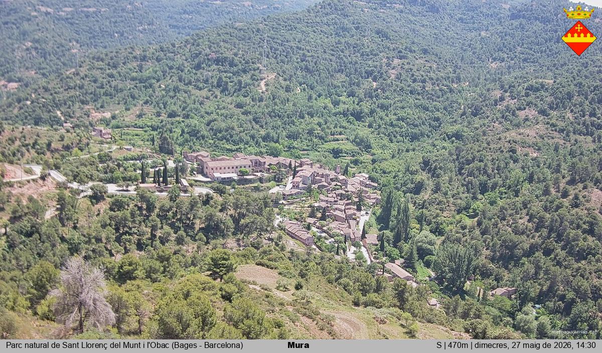 Mura 