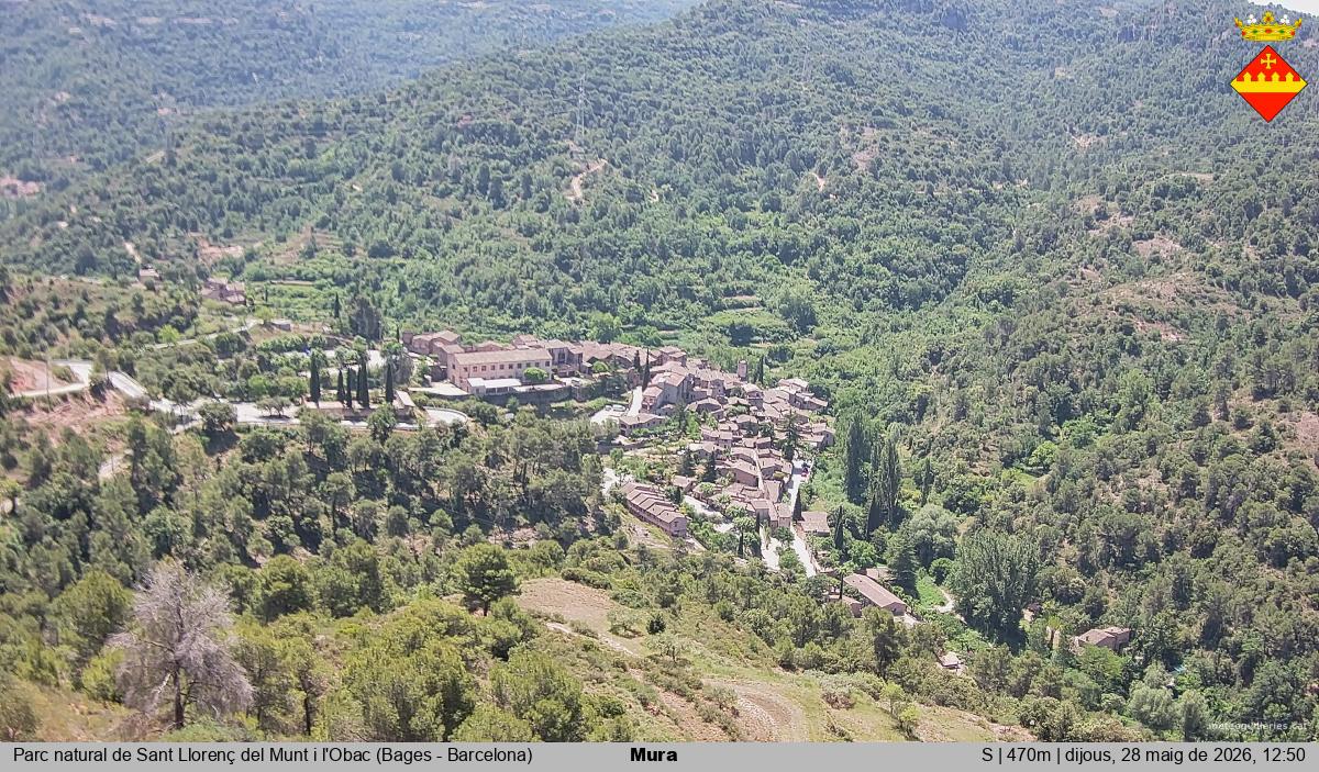 Mura 