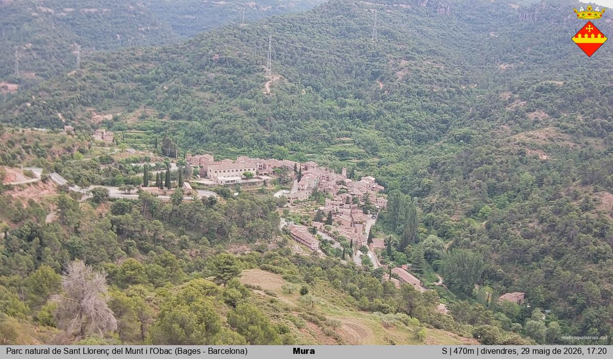 Mura 