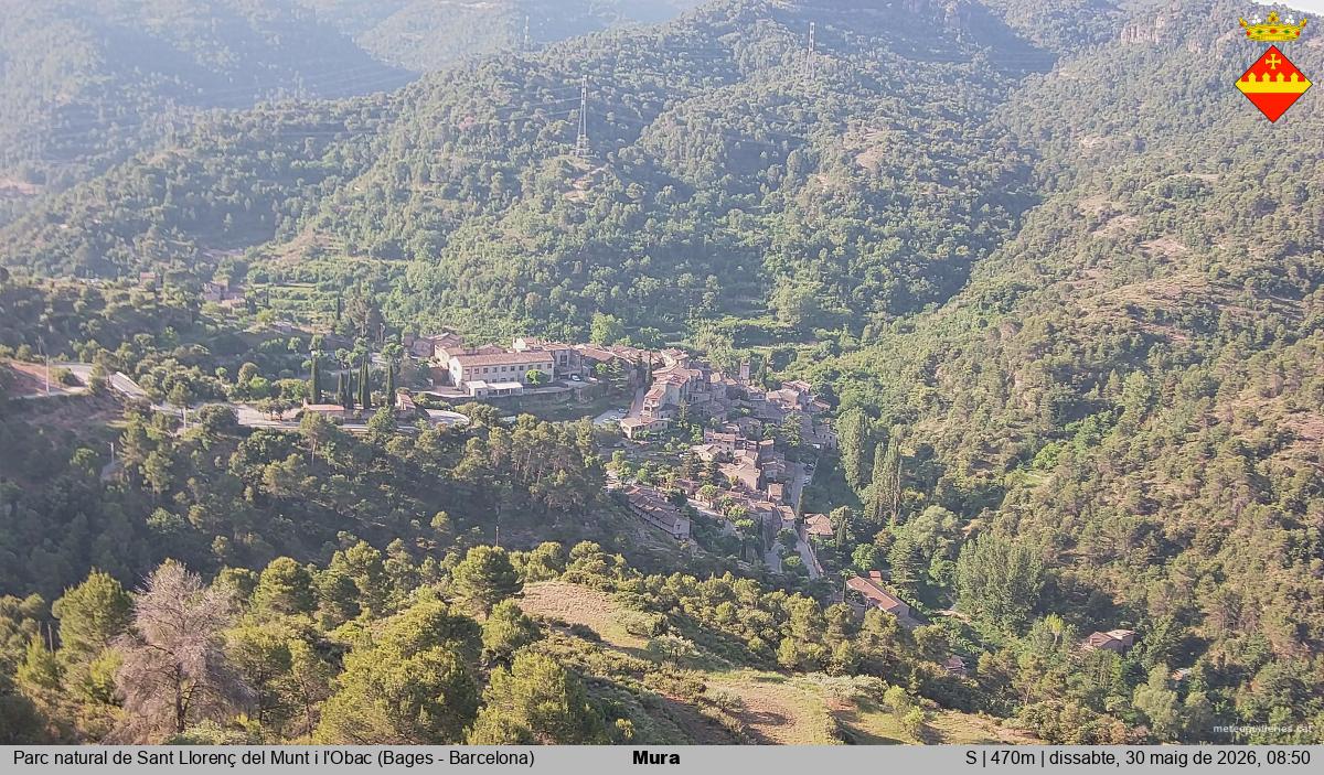 Mura 