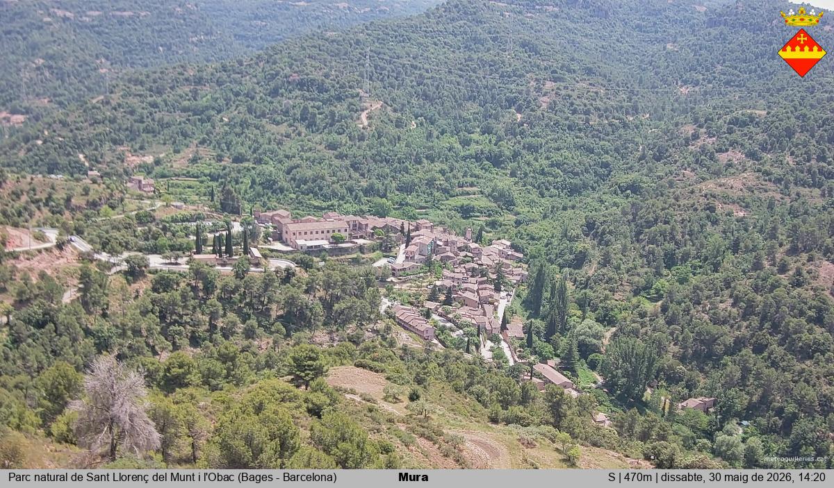 Mura 
