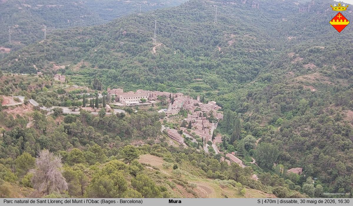 Mura 