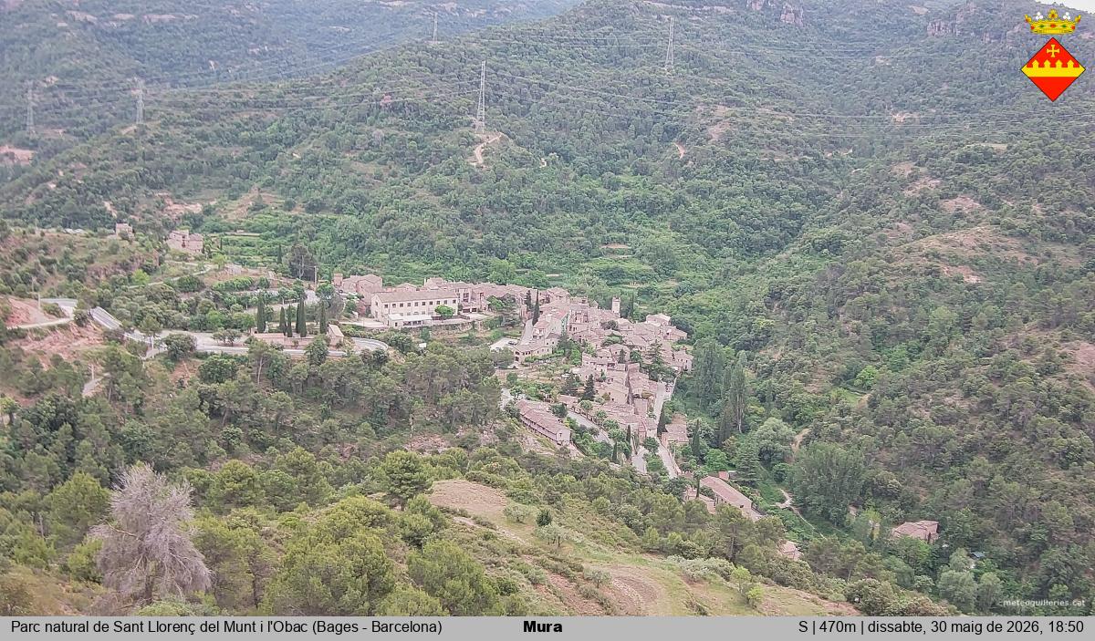 Mura 