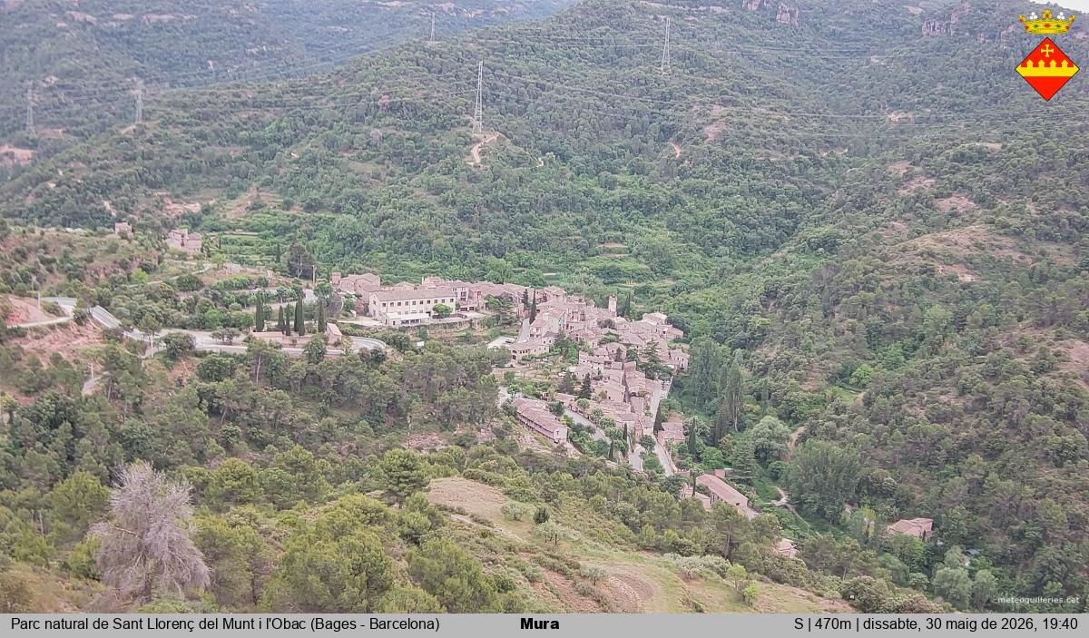 Mura 