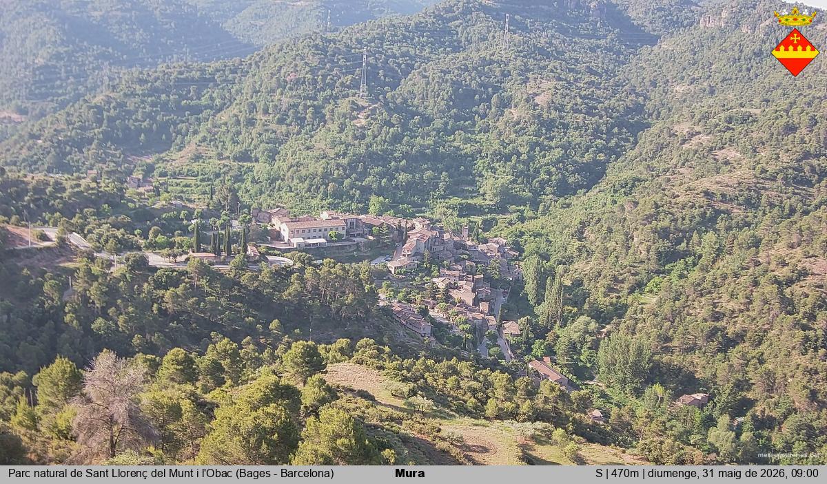 Mura 
