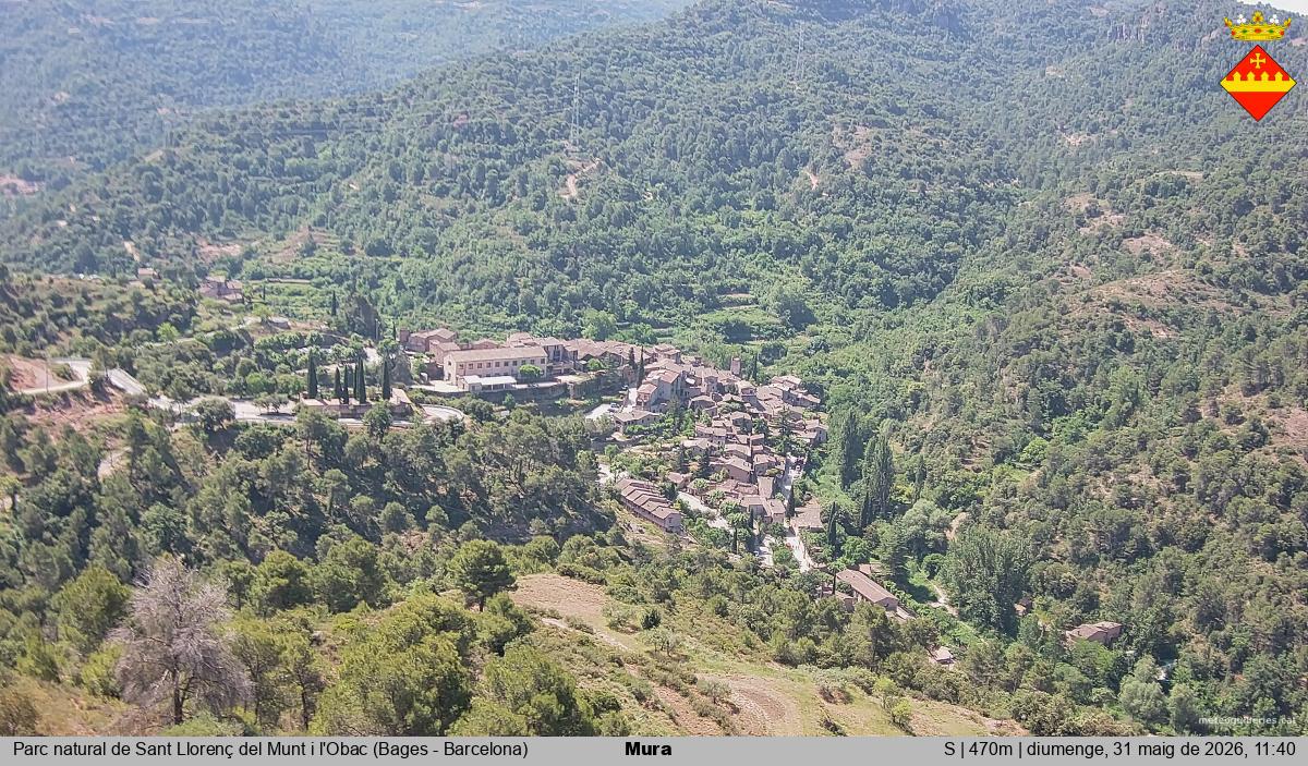 Mura 