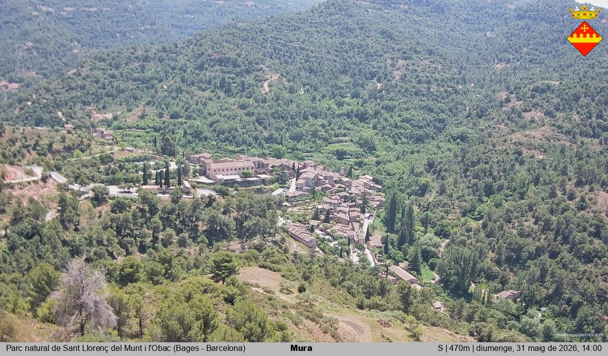 Mura 