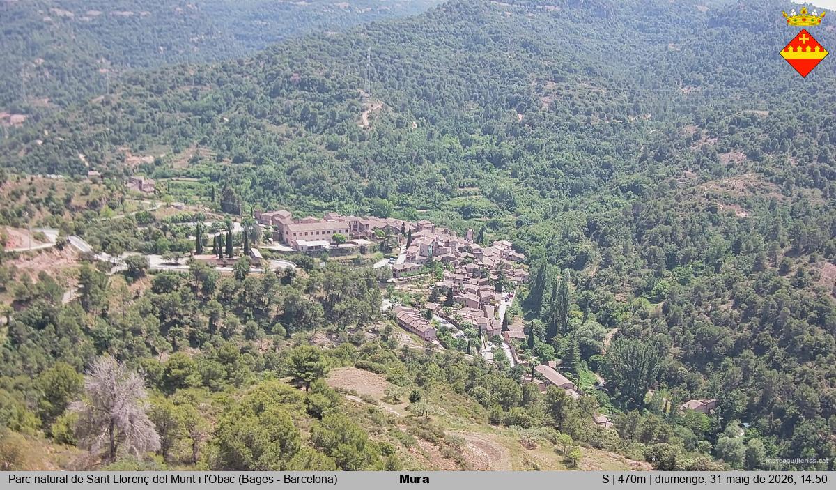 Mura 
