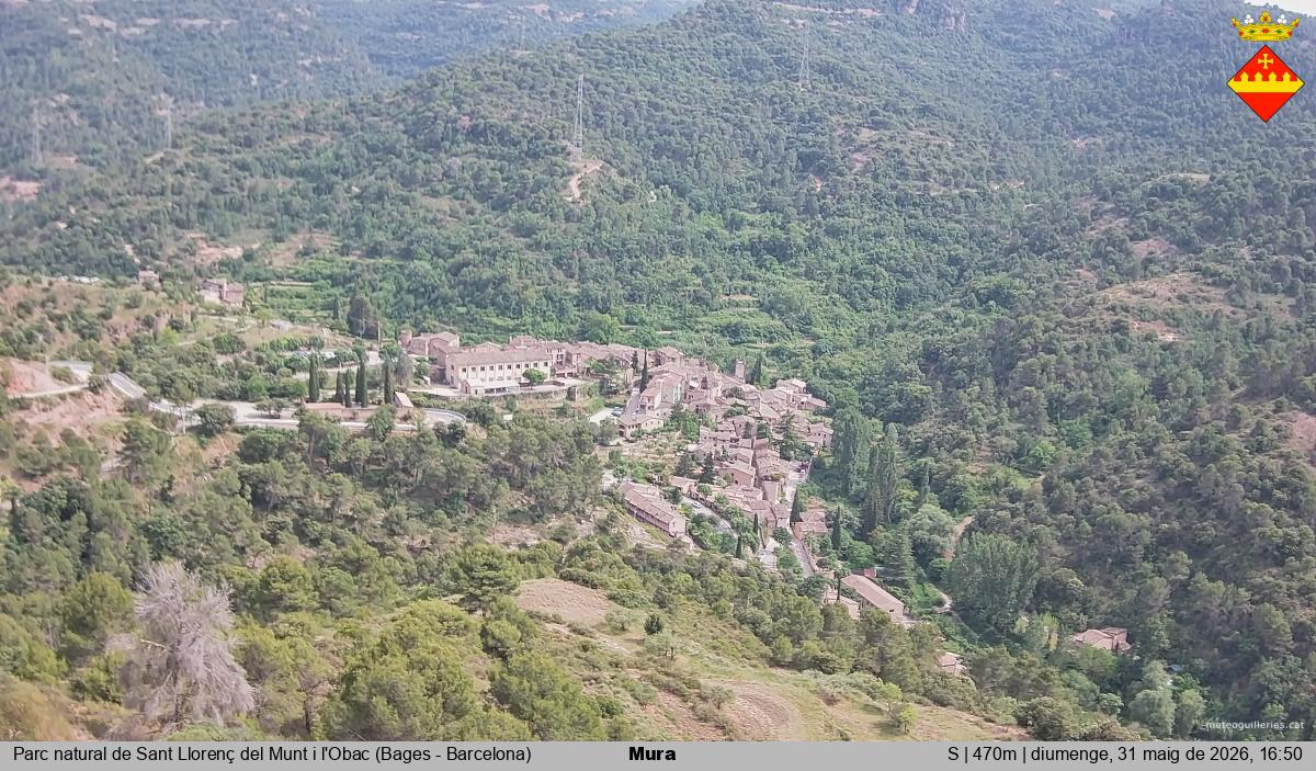 Mura 