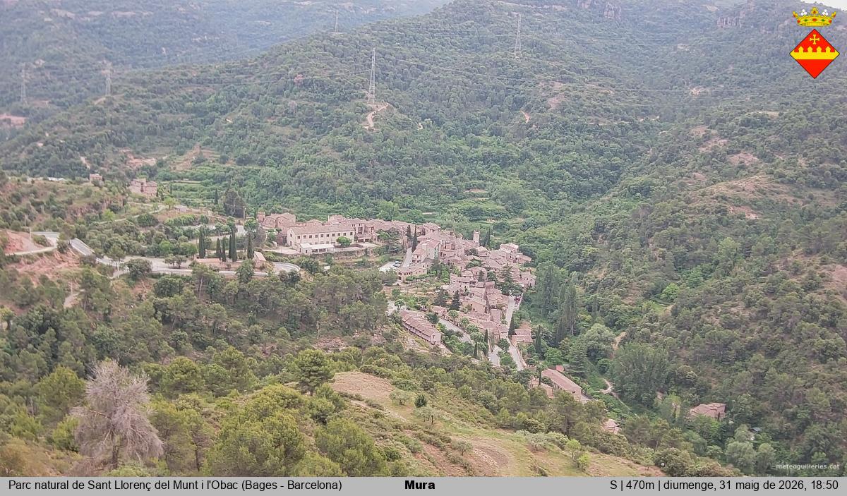 Mura 