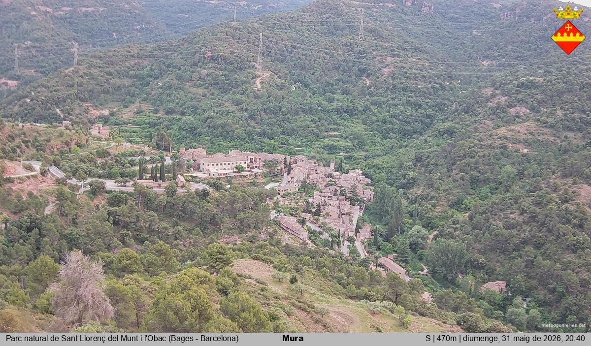 Mura 