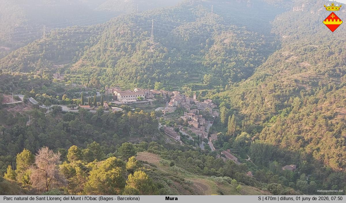 Mura 