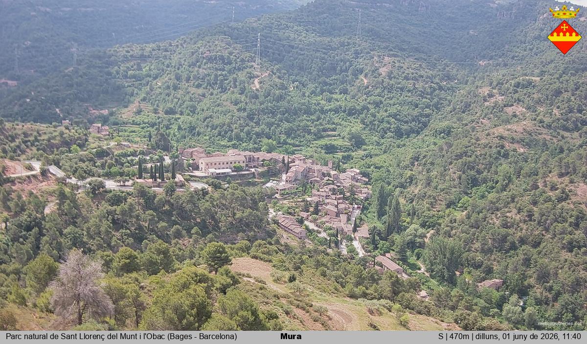 Mura 