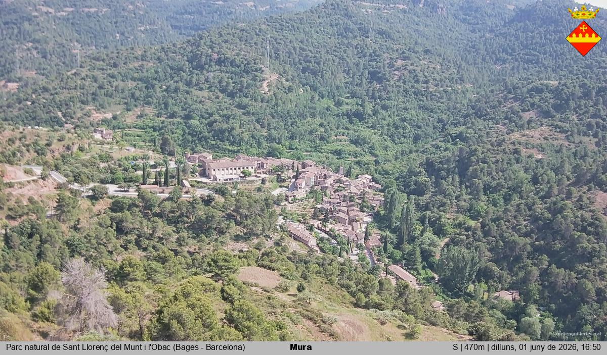 Mura 