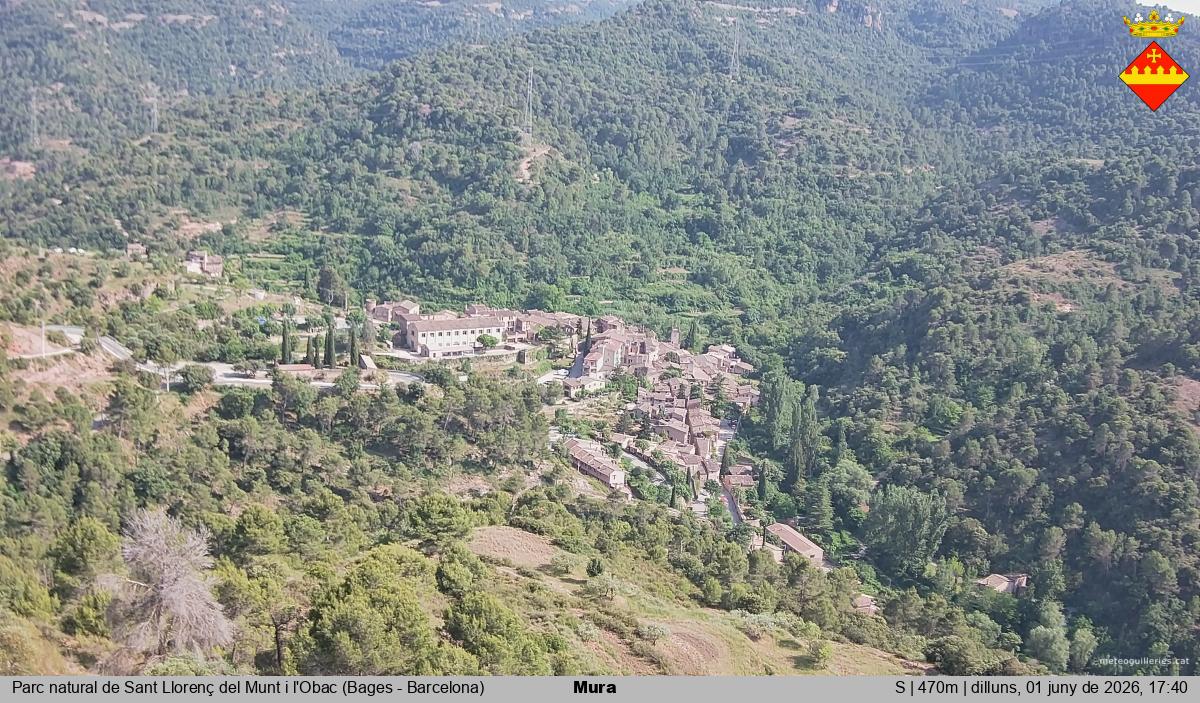 Mura 