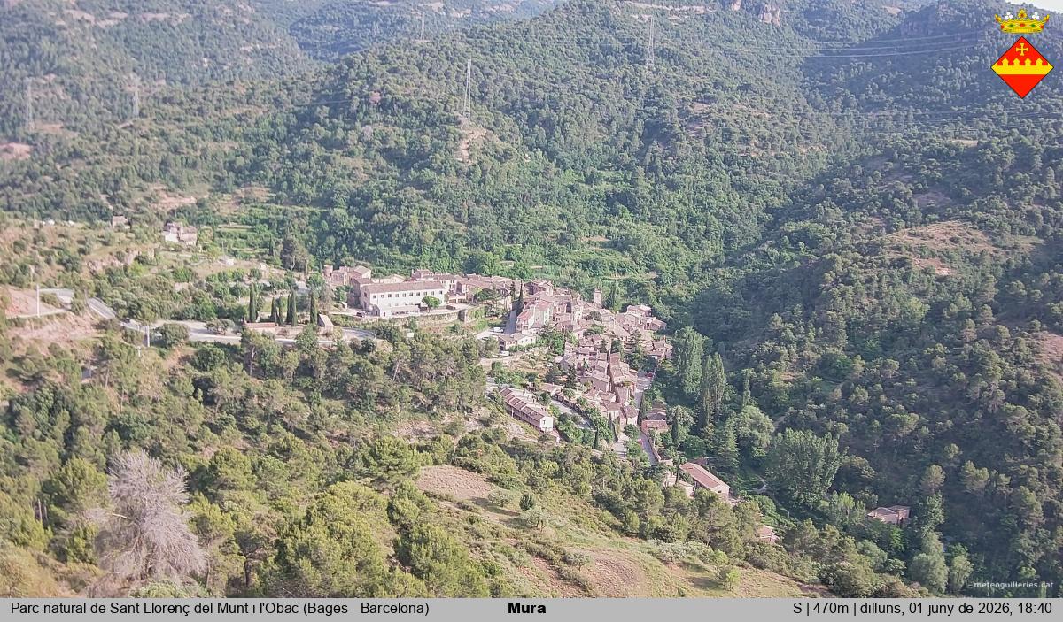 Mura 
