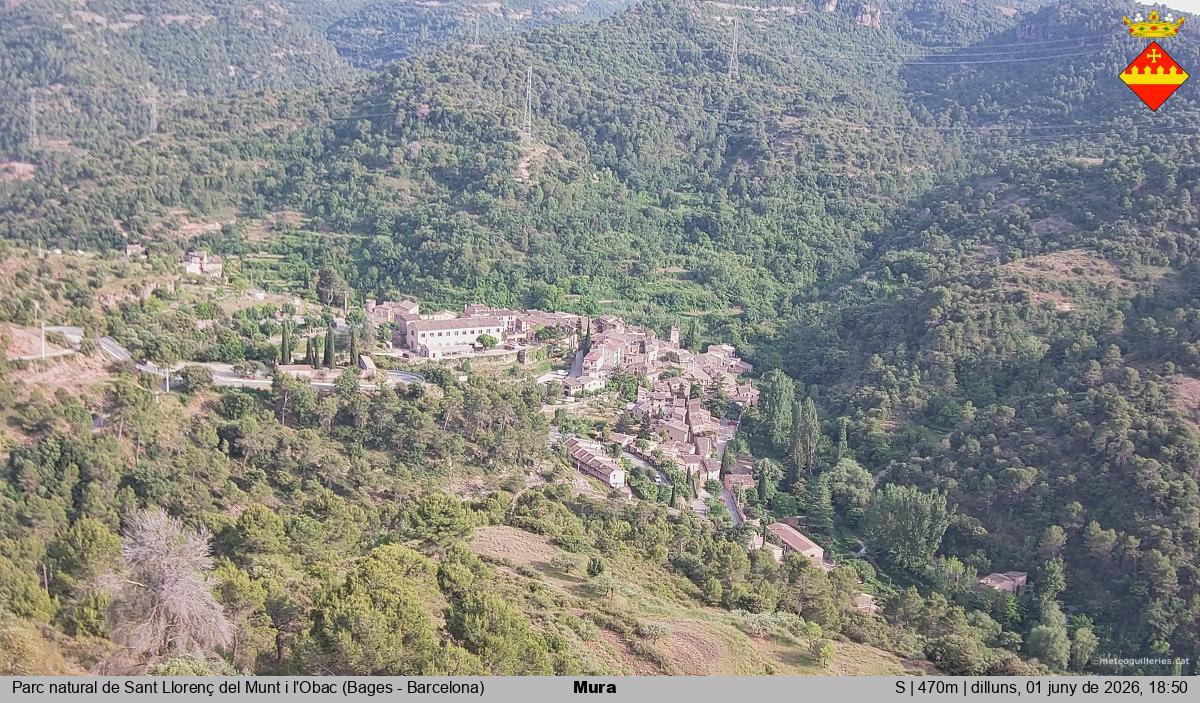 Mura 
