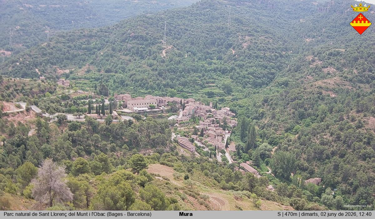Mura 