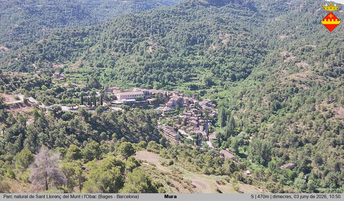 Mura 