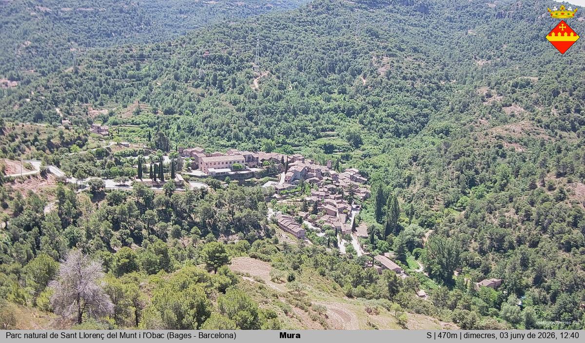 Mura 