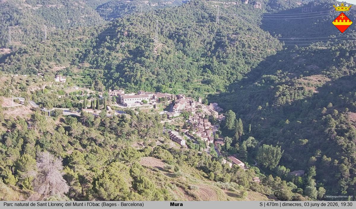 Mura 