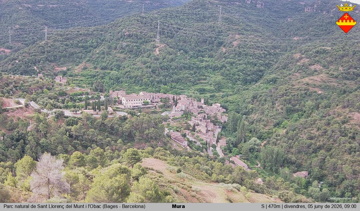 Mura 