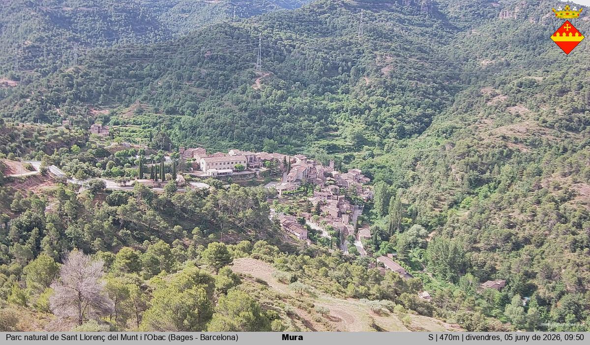 Mura 