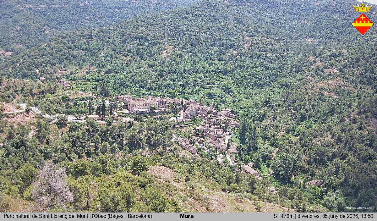 Mura 