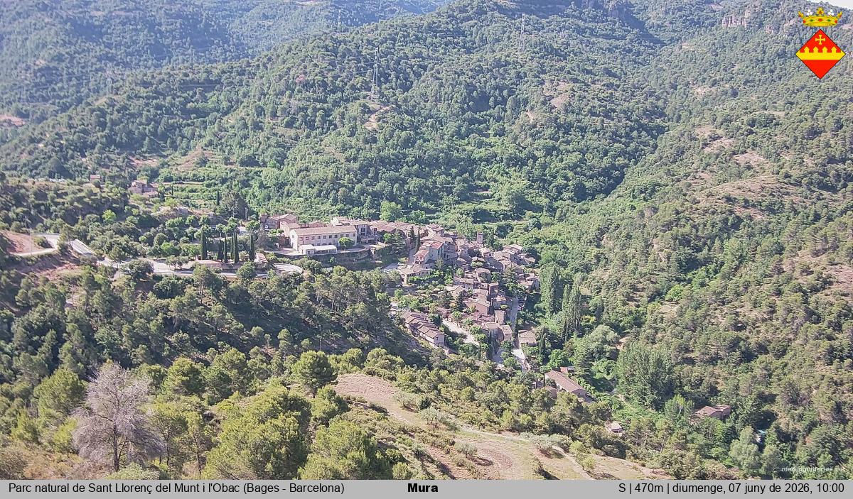 Mura 