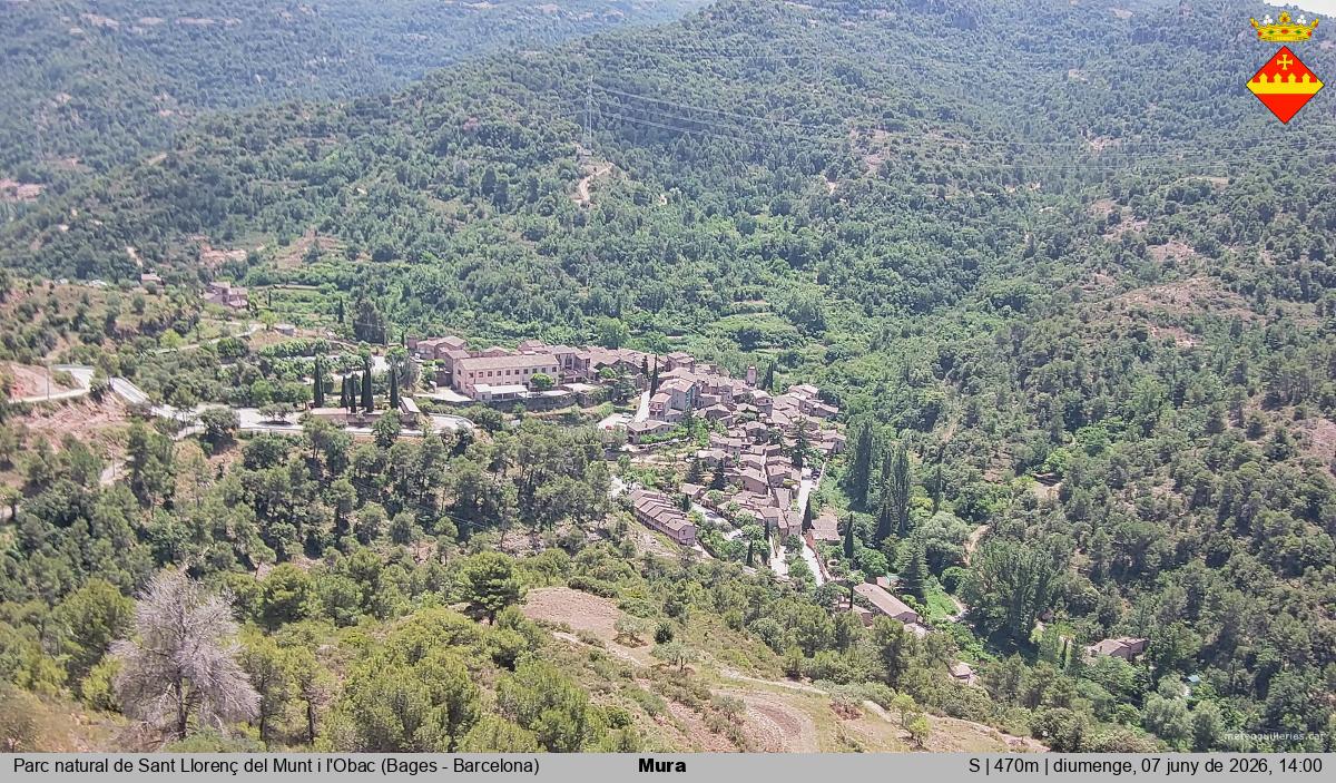 Mura 