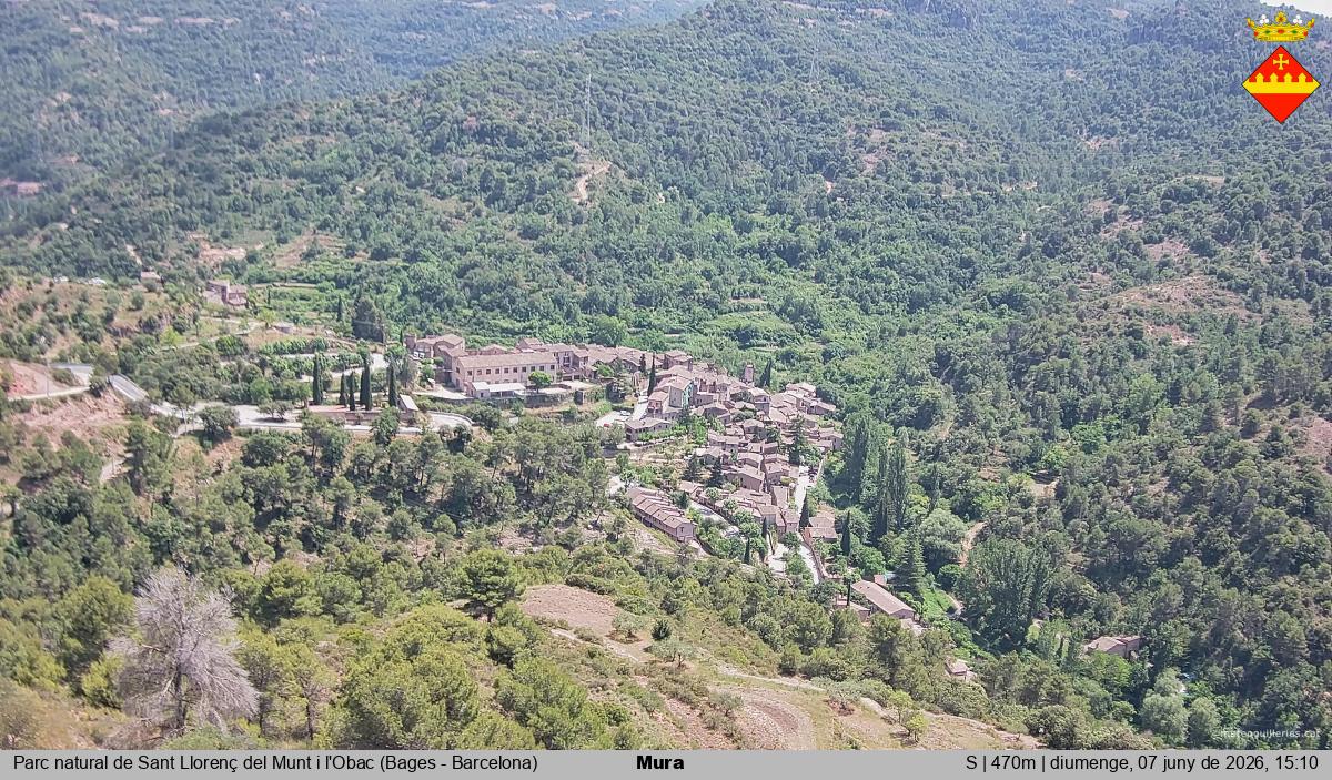 Mura 